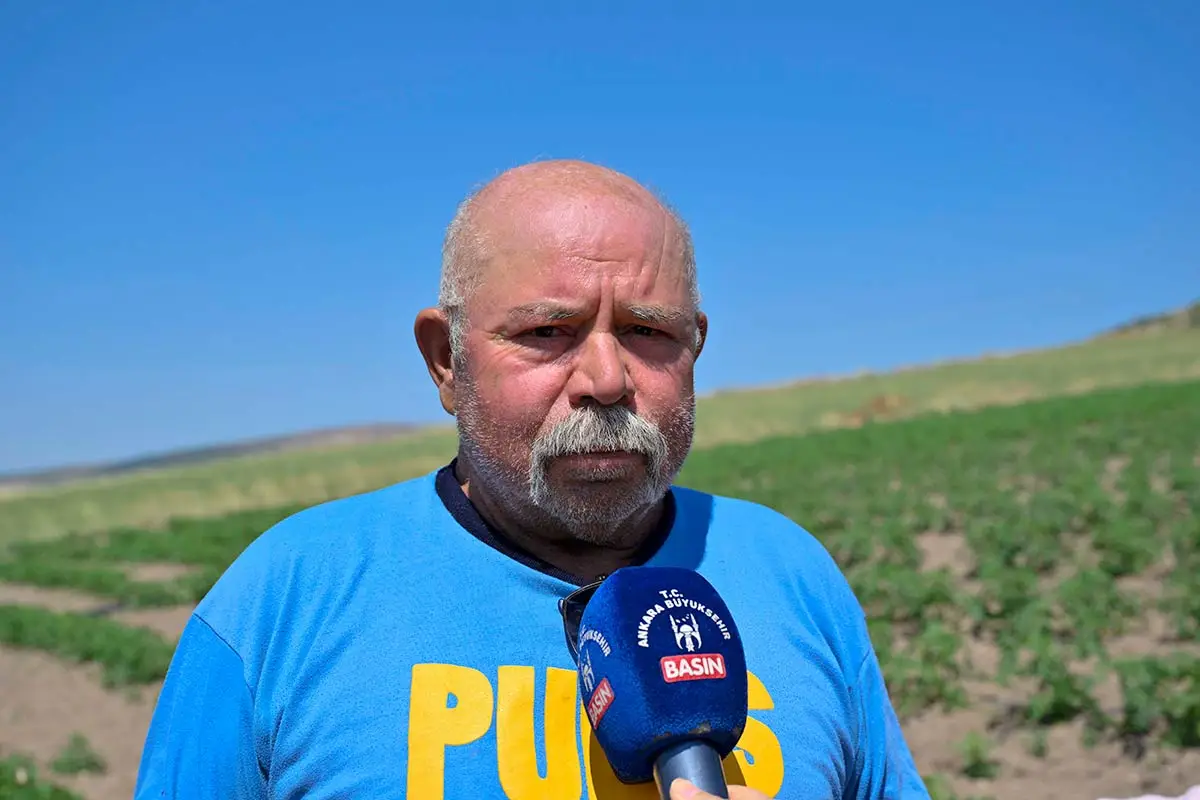 Üretici Alparslan Taşdelen