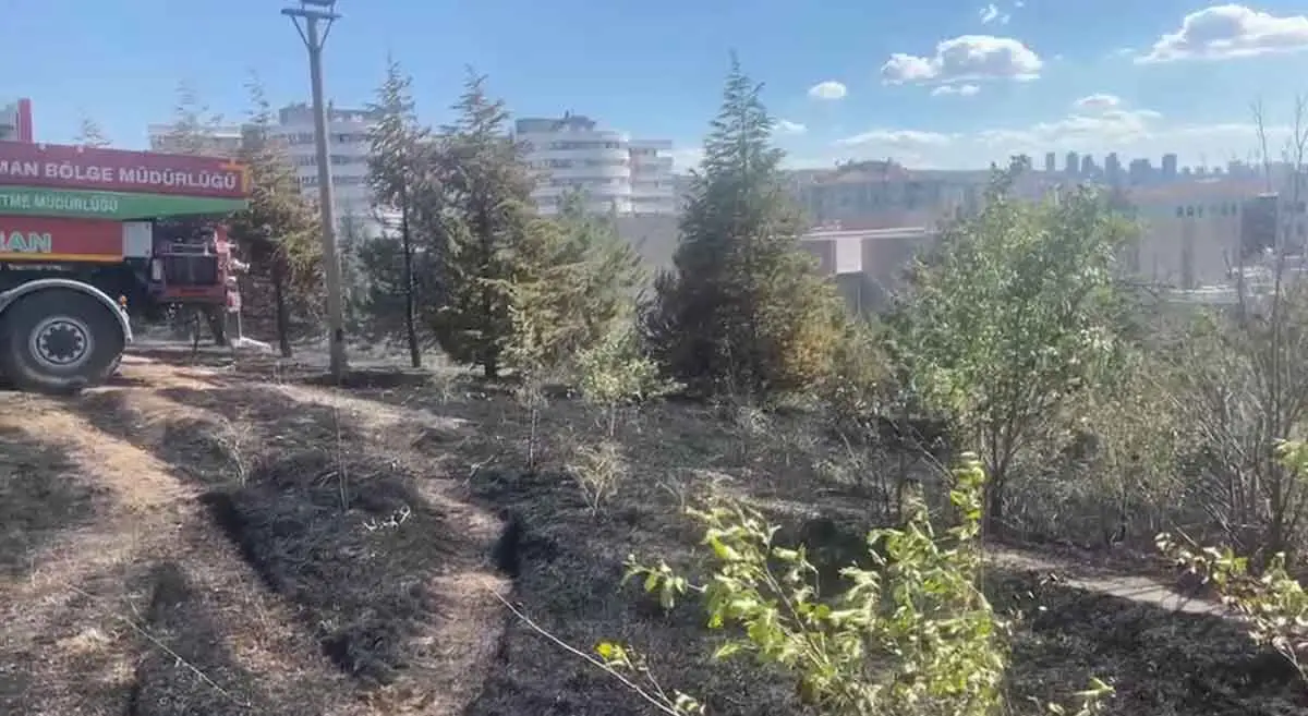 Ankara'da ODTÜ Ormanında yangın