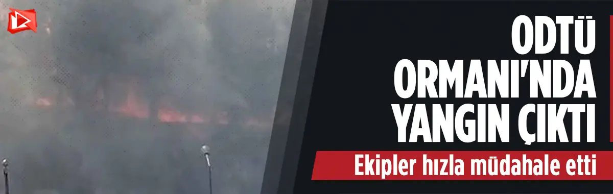 Ankara'da ODTÜ Ormanında yangın