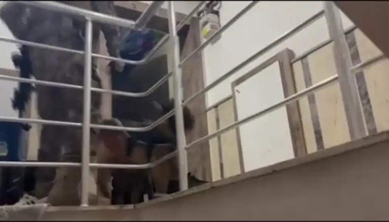 Ankara’da organize suç operasyonu: 12 kişi tutuklandı