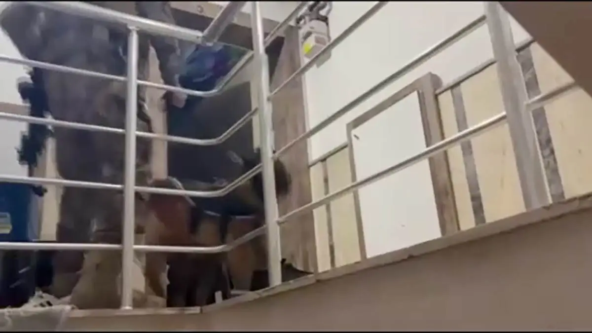 Ankara’da organize suç operasyonu: 12 kişi tutuklandı