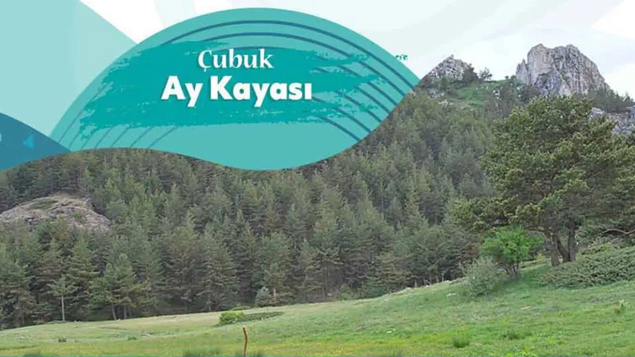 Çubuk Belediyesi 'Turşu Festivali'ne hazırlanıyor