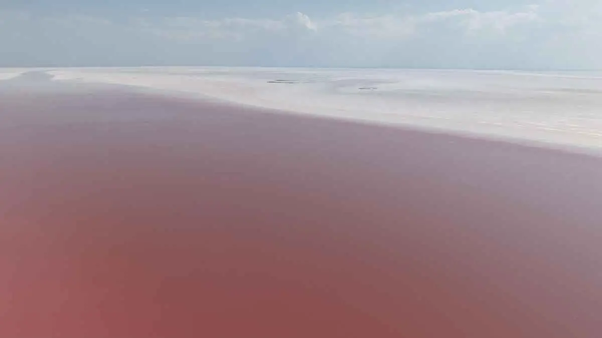 Tuz Gölü pembe görünümüyle dikkat çekiyor