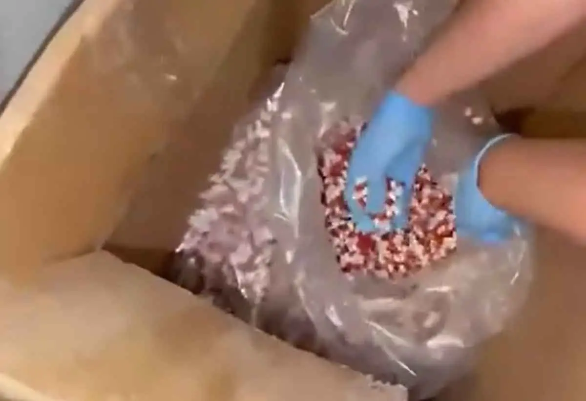 Ankara’da uyuşturucu operasyonunda 4 kişi gözaltına alındı