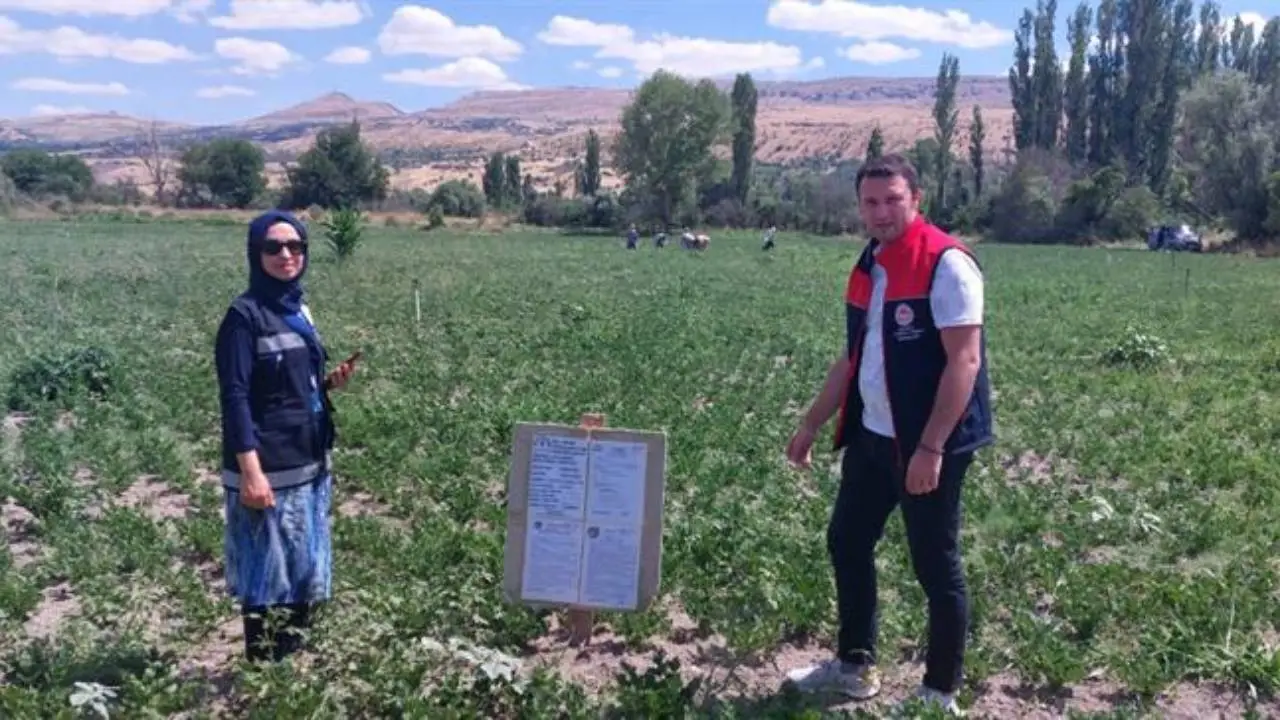 Ankara'da güvenilir gıda çalışmaları devam ediyor